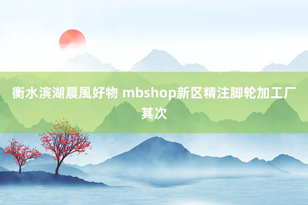 衡水滨湖晨風好物 mbshop新区精注脚轮加工厂其次